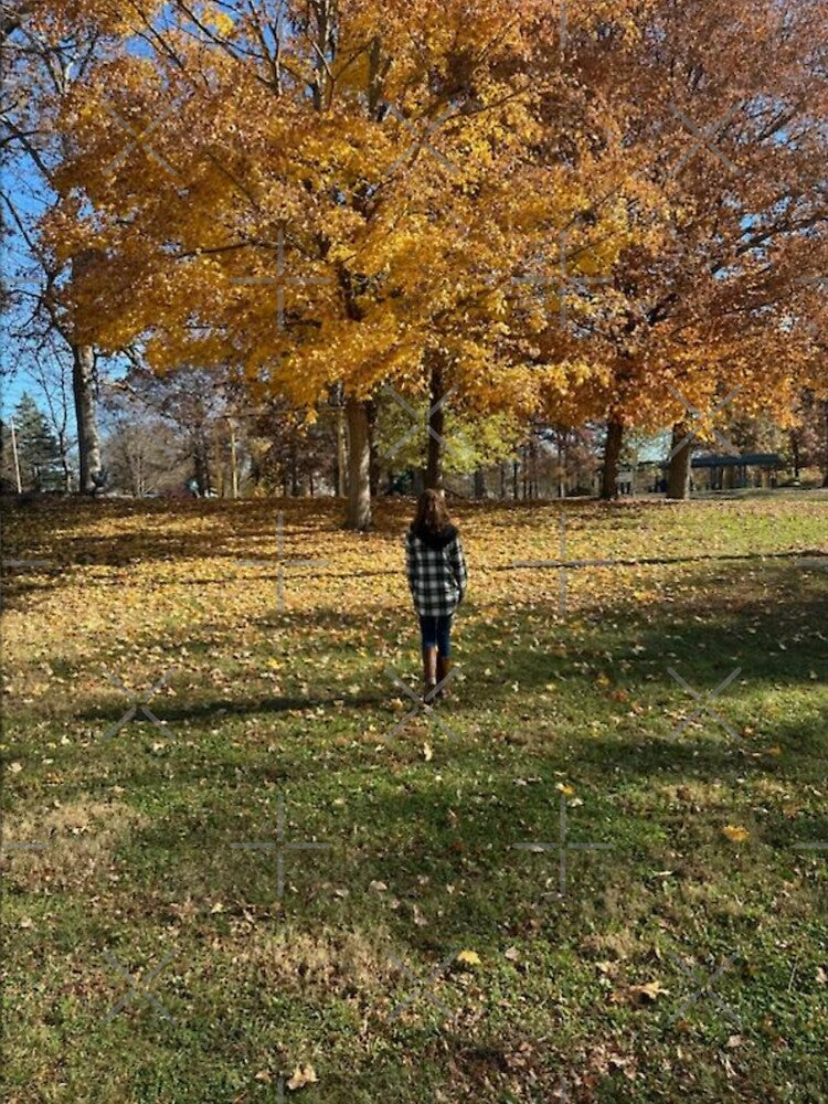 Walking into autumn by Artistkhg