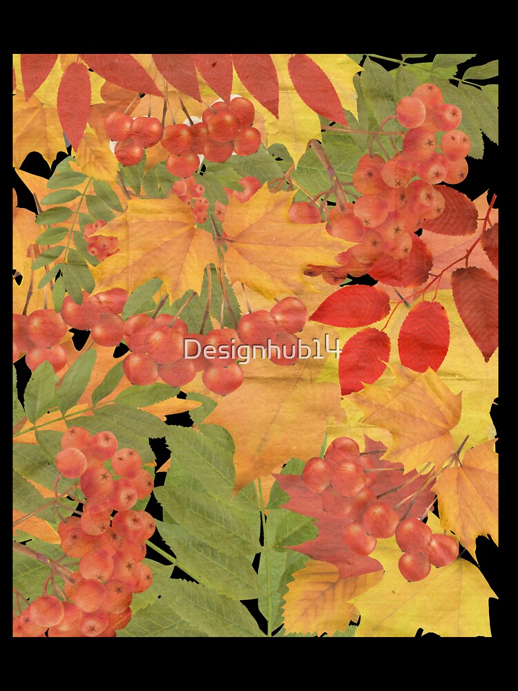 Autumn barries by Designhub14