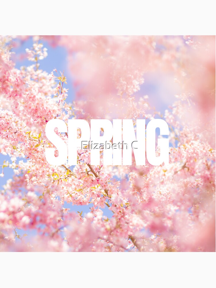 Spring by ElizabethCoelho