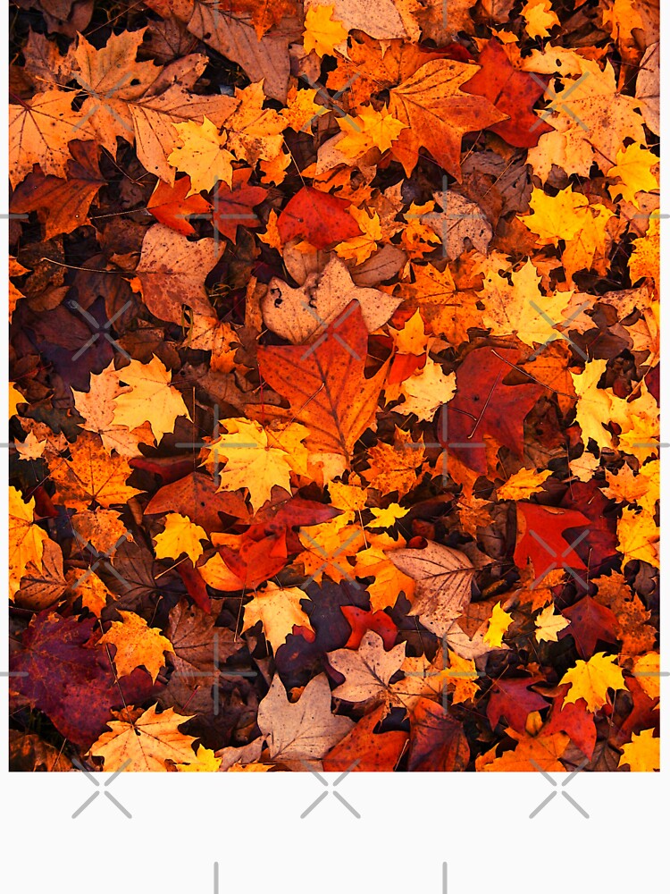 Autumn Leaves - Fall enthusiast design by Theleochick