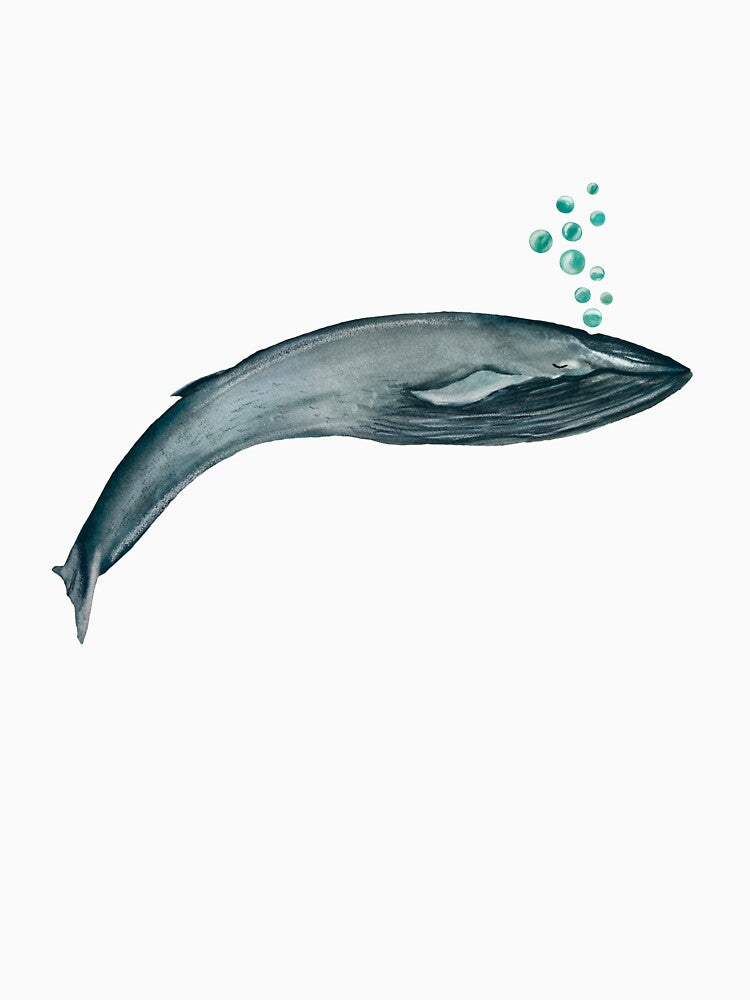 Whale blue bubbles ocean a watercolor illustration by Yana Mustafina | Boho Soulful Designs