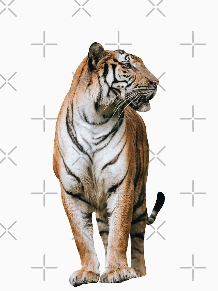 Wild Tiger by FilipeFerreira