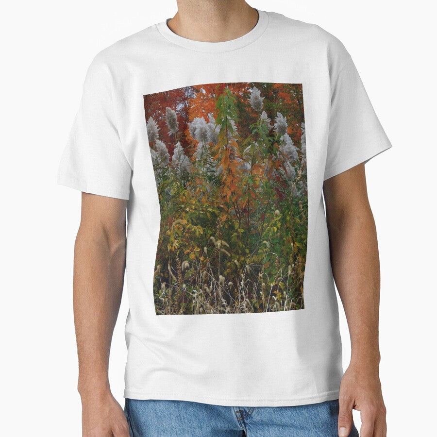 Fall Colors (1417) by sensameleon
