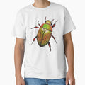 Australian Christmas Beetle (Anoplognathus suturalis) by Mary Traverse