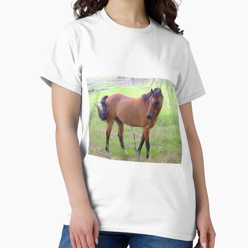 "The horse over the fence". by simdantrine4