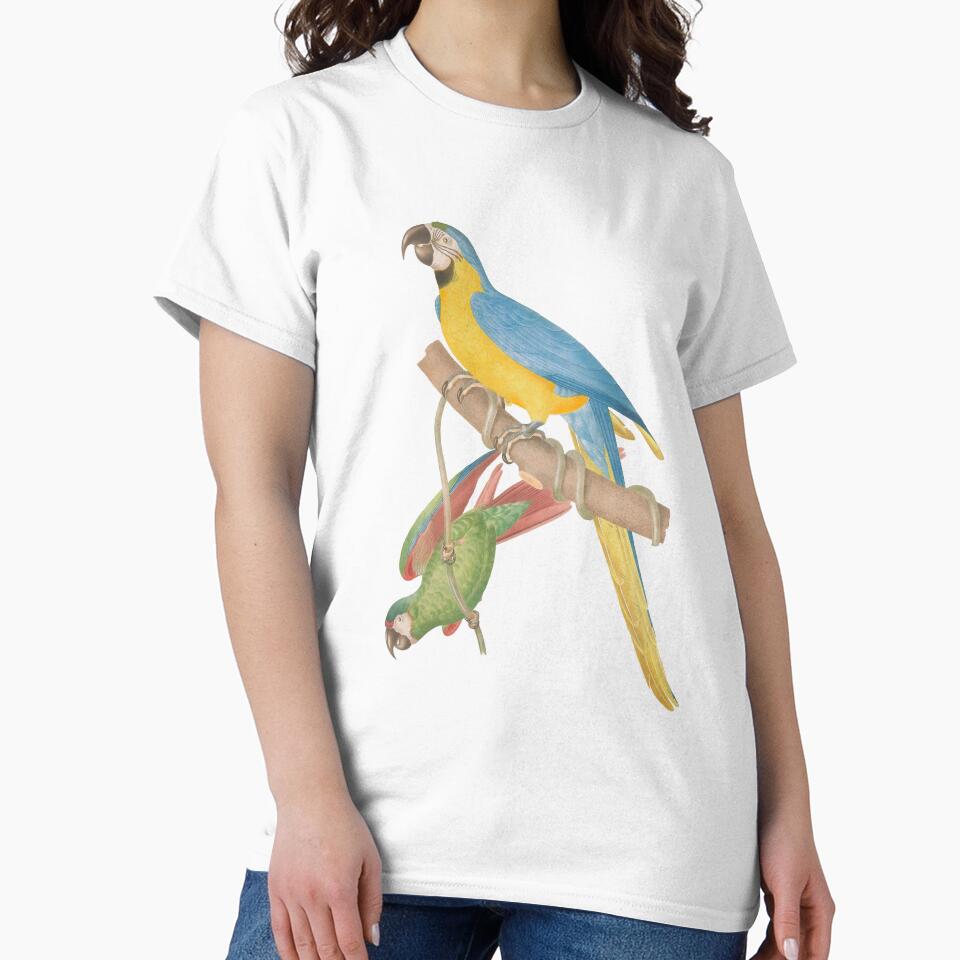 Lovely parrot Couple by OminiDesign