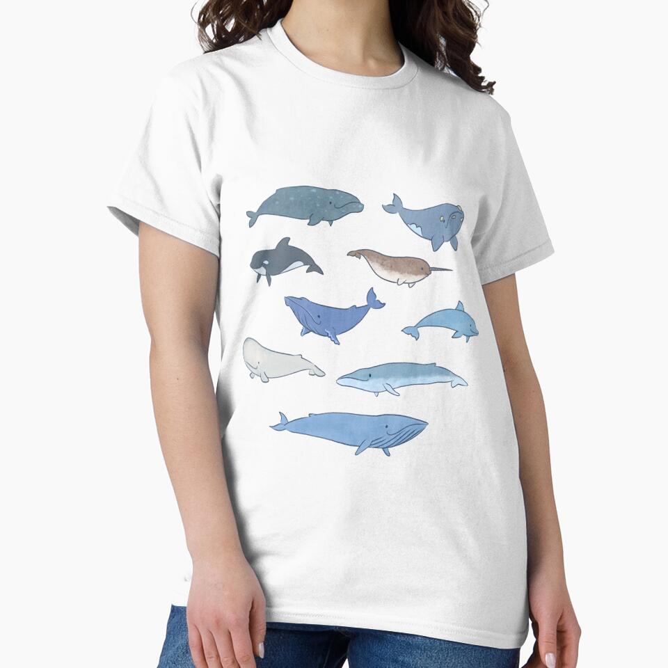 Whale Types by ManonDeLArt