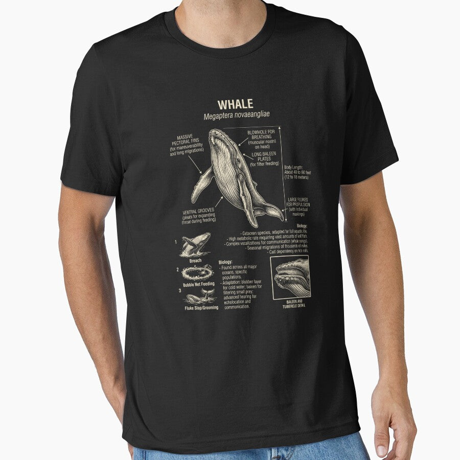 Whale Scientific Anatomy Biology Animal Lover by Kimberley King Art  King Art