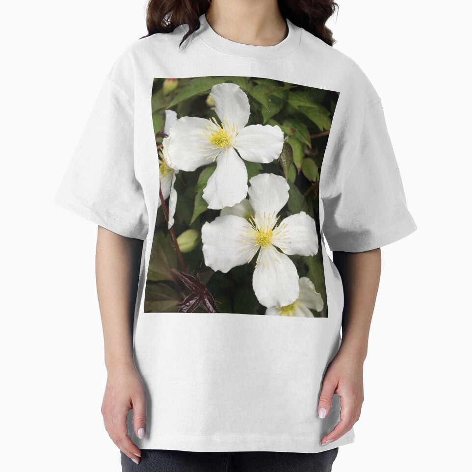 clematis by KathleenDawson