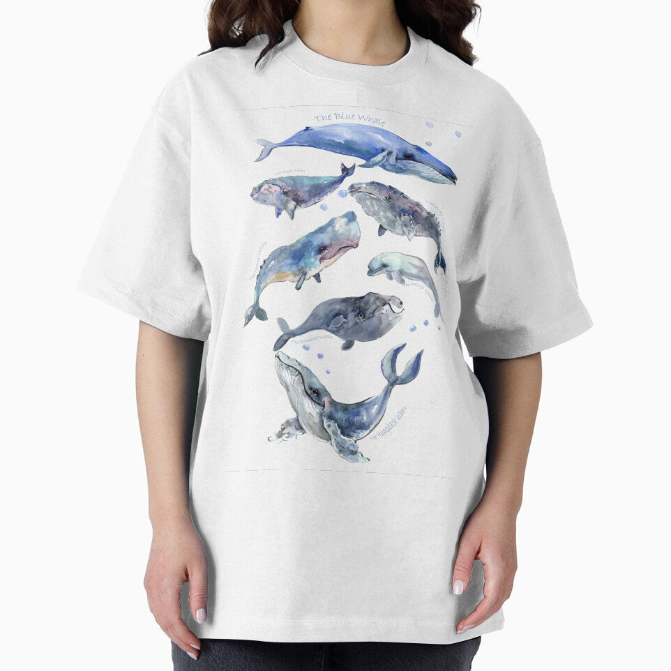 Whale çollection by surenart